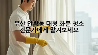 부산 안락동 대형 화분 청소, 전문가에게 맡겨보세요!
