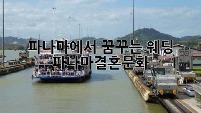 파나마에서 꿈꾸는 웨딩 💍 #파나마결혼문화